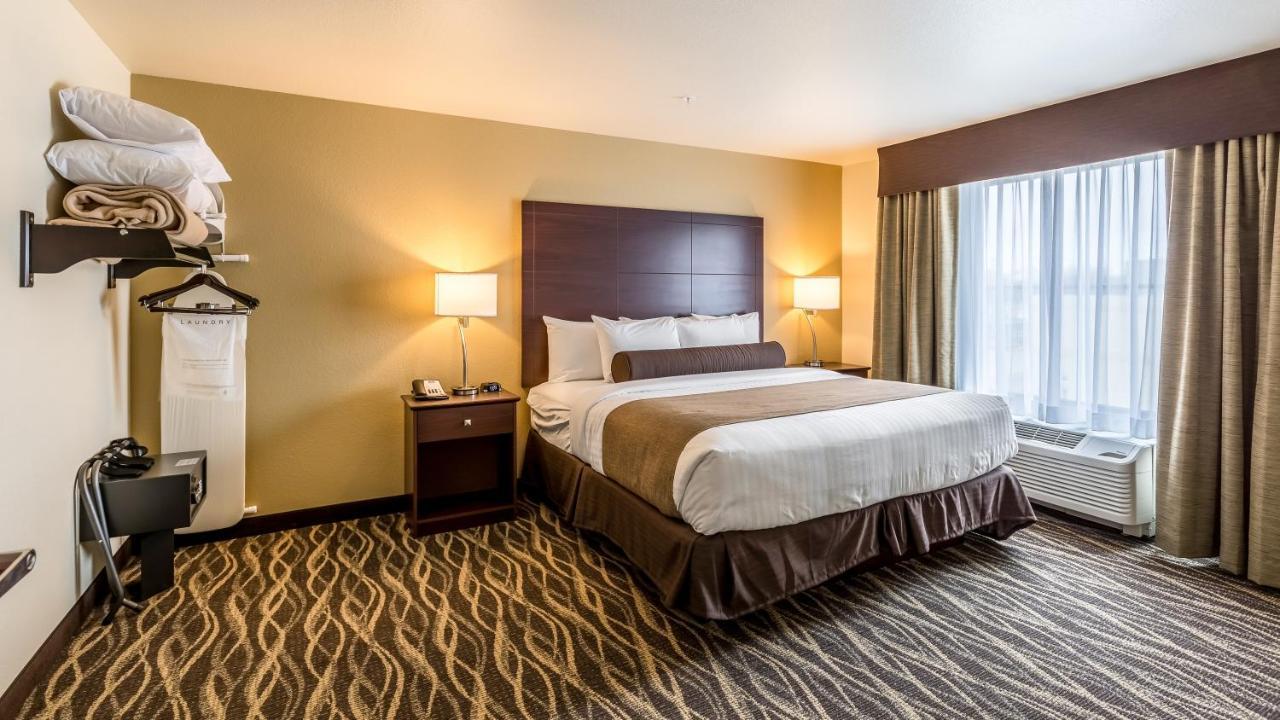 Cobblestone Hotel & Suites - צ'יפווה פולס מראה חיצוני תמונה